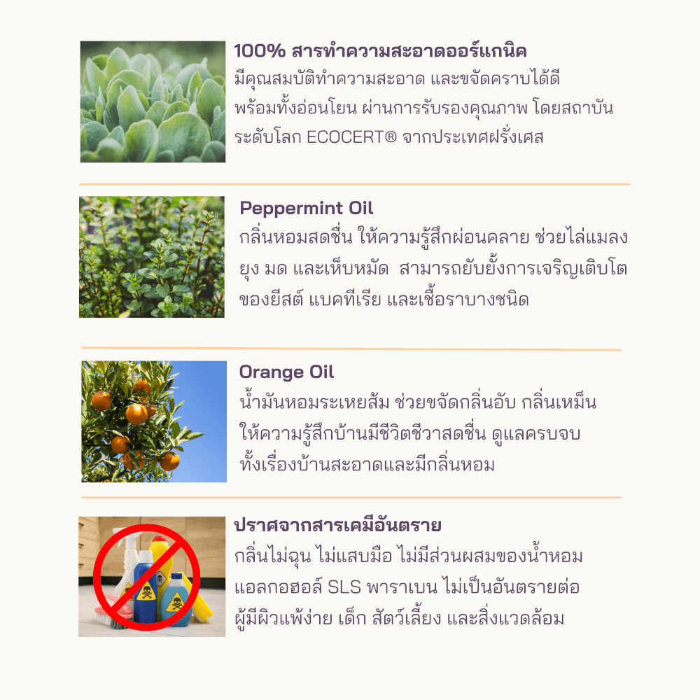 น้ำยาทำความสะอาดอเนกประสงค์ PETTO BONNYS สูตรเข้มข้น กลิ่นเปปเปอร์มินต์และส้ม 600 มล. ชนิดถุงเติม 12 ถุง